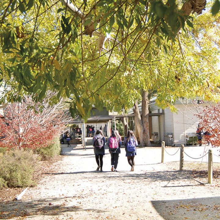 Children walking to school